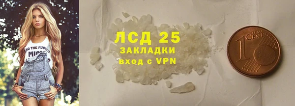 стаф Арсеньев