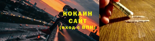 стаф Арсеньев