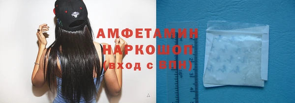 стаф Арсеньев