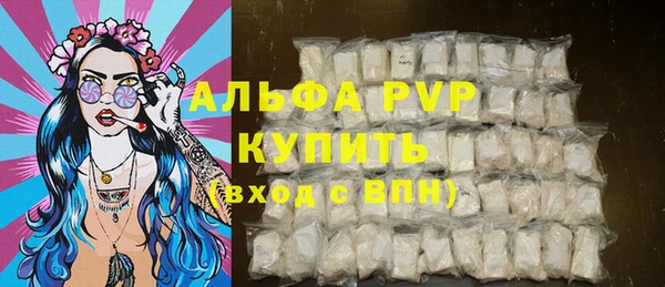стаф Арсеньев